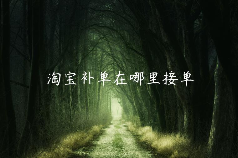 淘寶補(bǔ)單在哪里接單